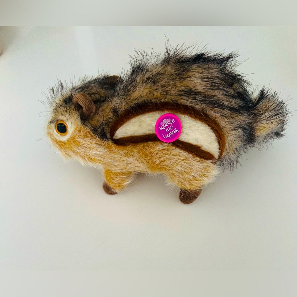 NWT Pet Squeaky Toy